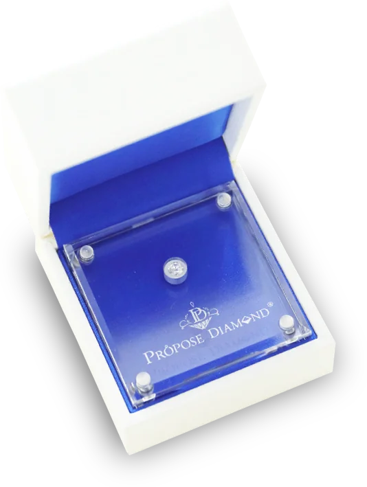 PROPOSE DIAMOND proposal case holding a diamond